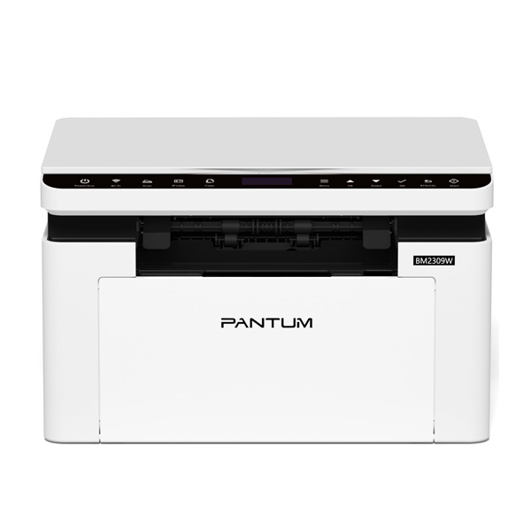 Pantum BM2309W