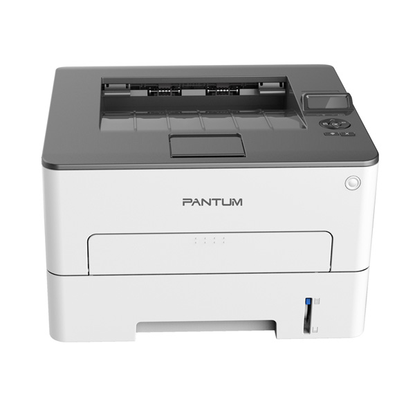 Pantum P3010D