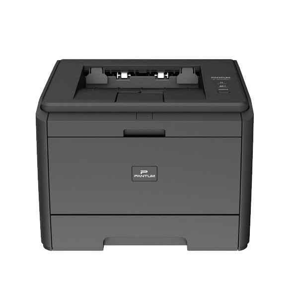 Pantum P3205D
